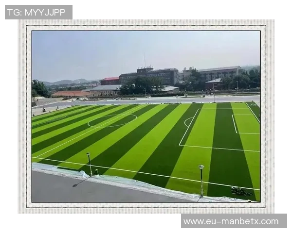 足球场草坪的种类与特点解析及其对比赛的影响